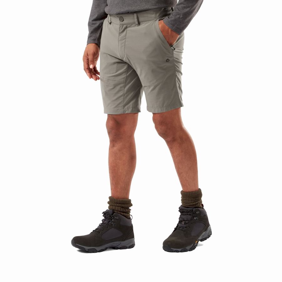 Bermudas Craghoppers NosiLife Pro Active Hombre Grises | FAW6050ER