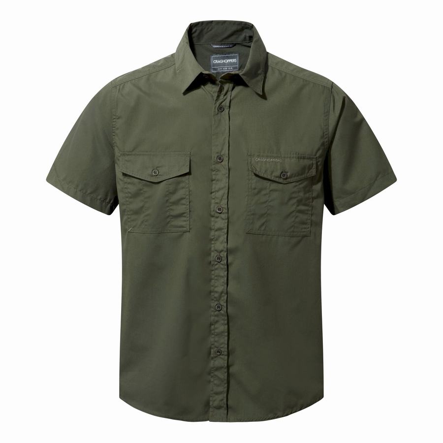 Camisas Craghoppers Kiwi Corta Sleeved Hombre Verdes Oscuro | VKT9470GW