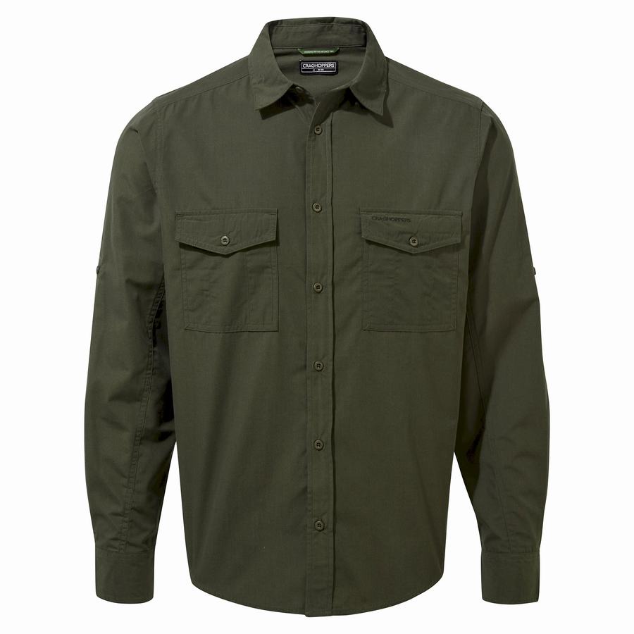 Camisas Craghoppers Kiwi Long Sleeved Hombre Verdes | WDD2177TH