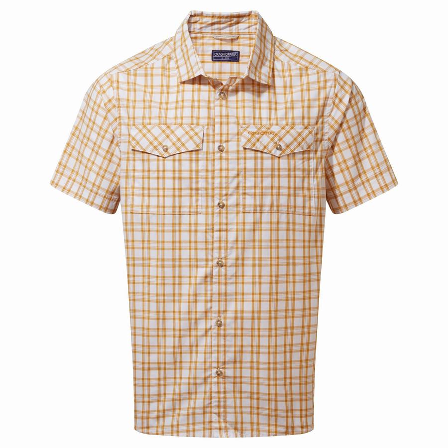 Camisas Craghoppers Murray Corta Sleeved Hombre Multicolor | MPP9543EW