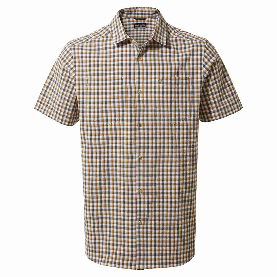 Camisas Craghoppers Nour Corta Sleeved Check Hombre Verdes | QRN22FF