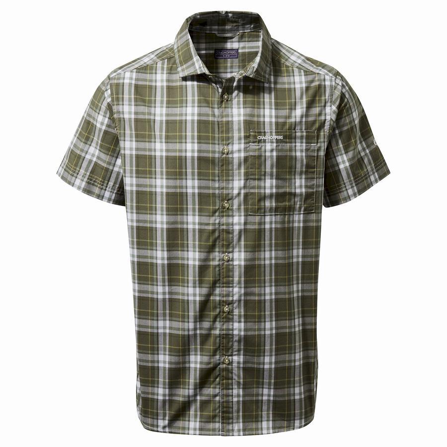 Camisas Craghoppers Vernon Corta Sleeved Hombre Verdes | JMG6078LV