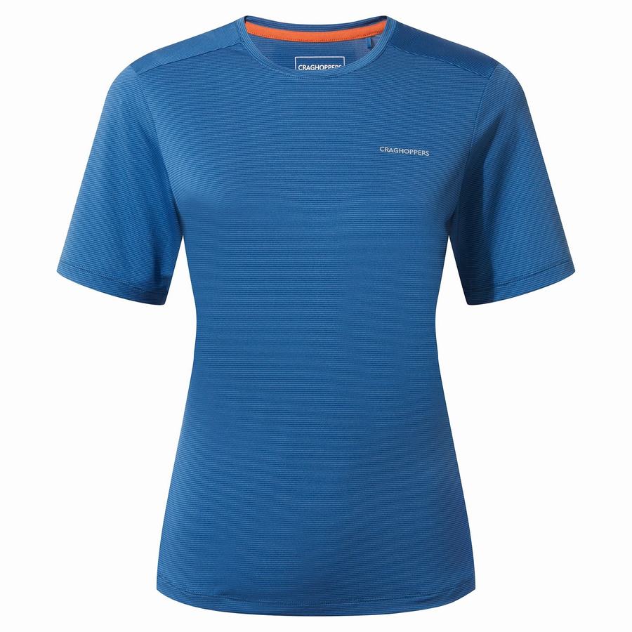 Camisetas Craghoppers Aliso Corta Sleeved Mujer Azules | ROV9743LB