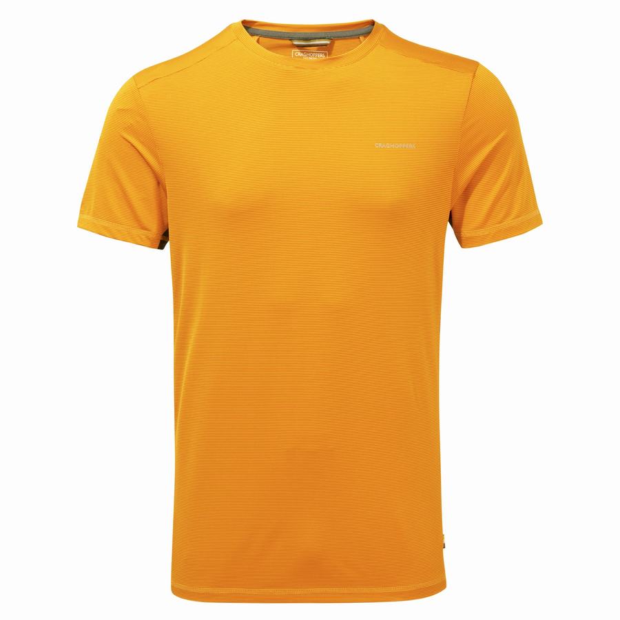 Camisetas Craghoppers Atmos Corta Sleeved Hombre Naranjas | GDG5585YM