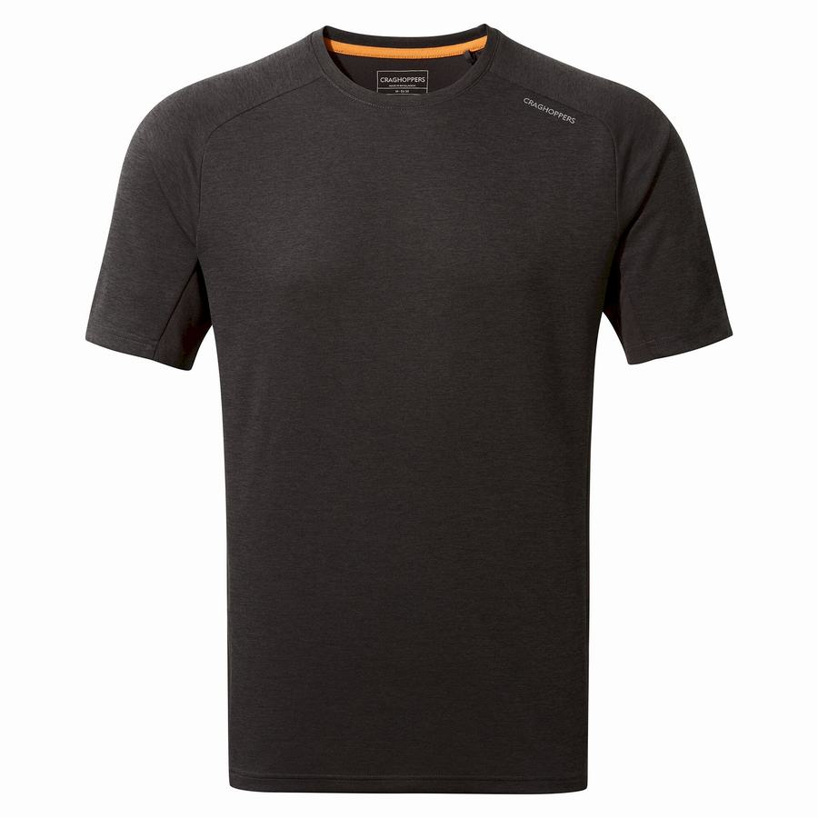 Camisetas Craghoppers Dynamic Pro Corta Sleeved Hombre Negros | OYI7161SH