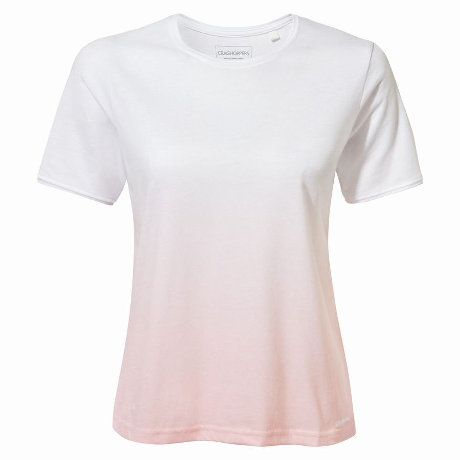 Camisetas Craghoppers Ilyse Corta Sleeved Mujer Rosas | KVD8093MB