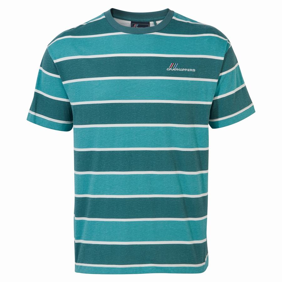 Camisetas Craghoppers Ventura Corta Sleeved Hombre Verdes | REF2777XF