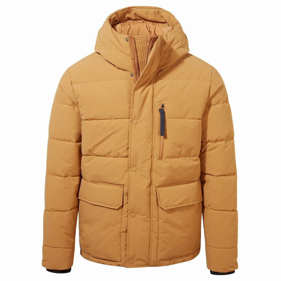 Chaquetas Craghoppers Dunbeath Insulated Encapuchado Hombre Grises Marrom | CYM3292HM