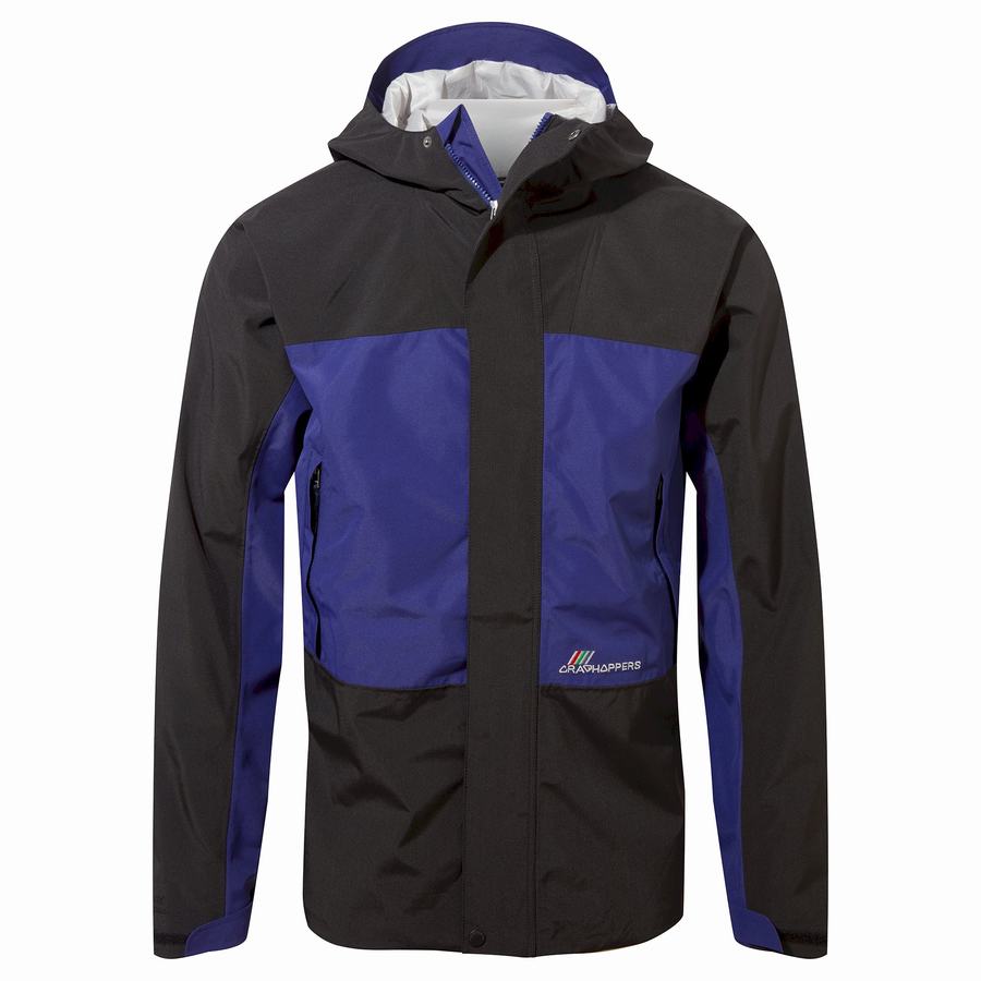 Chaquetas Craghoppers Dustin Insulated Hombre Morados Azules Negros | XEJ6980VZ