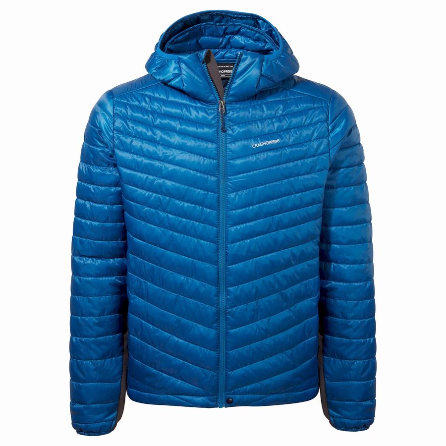 Chaquetas Craghoppers ExpoLite Insulated Encapuchado Hombre Azules | YRR9722JG