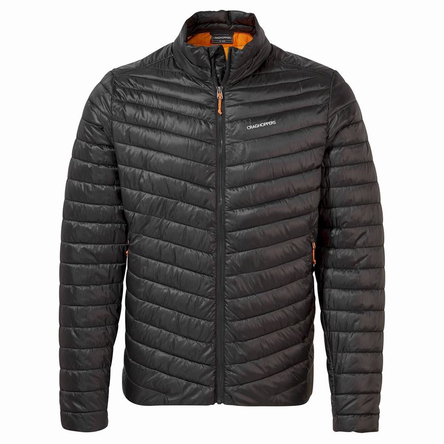 Chaquetas Craghoppers Insulated ExpoLite Hombre Negros Naranjas | VRZ9844YF