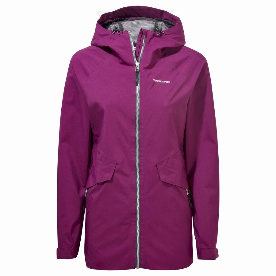 Chaquetas Craghoppers Minola GORE-TEX Mujer Morados | PSP149AK