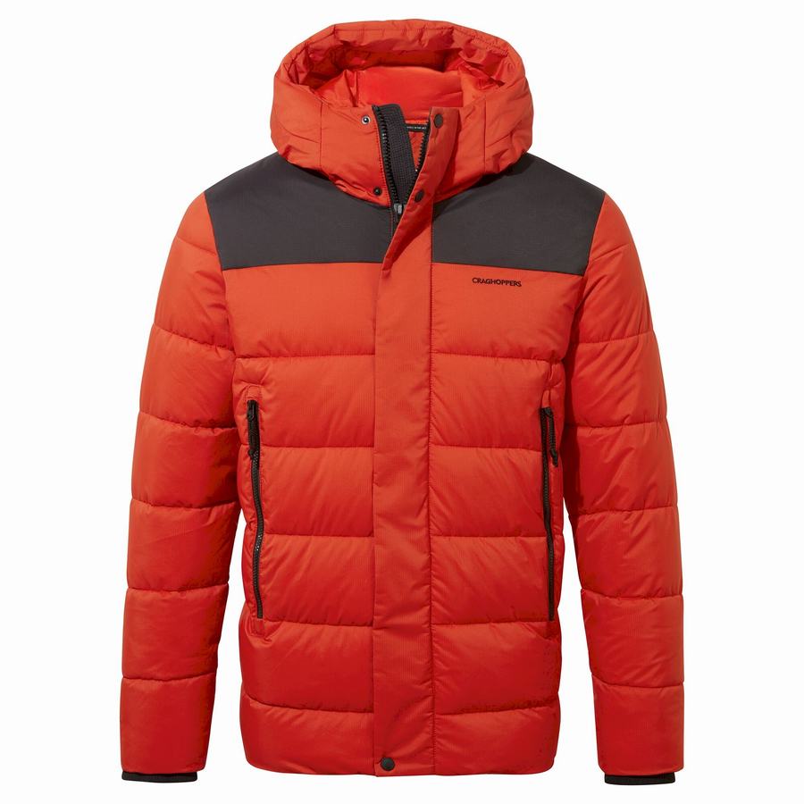 Chaquetas Craghoppers Sutherland Insulated Encapuchado Hombre Rojos Negros | XPF4014ZD