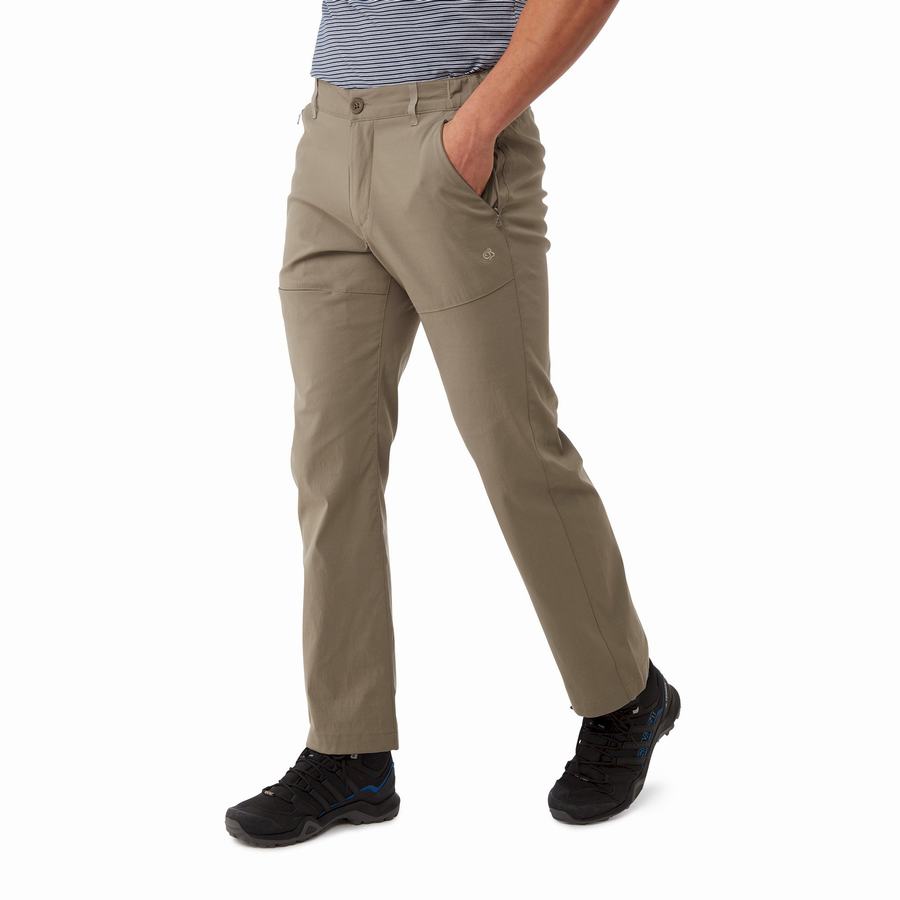 Pantalones Craghoppers Kiwi Pro II Hombre Kaki | KDU6667KB