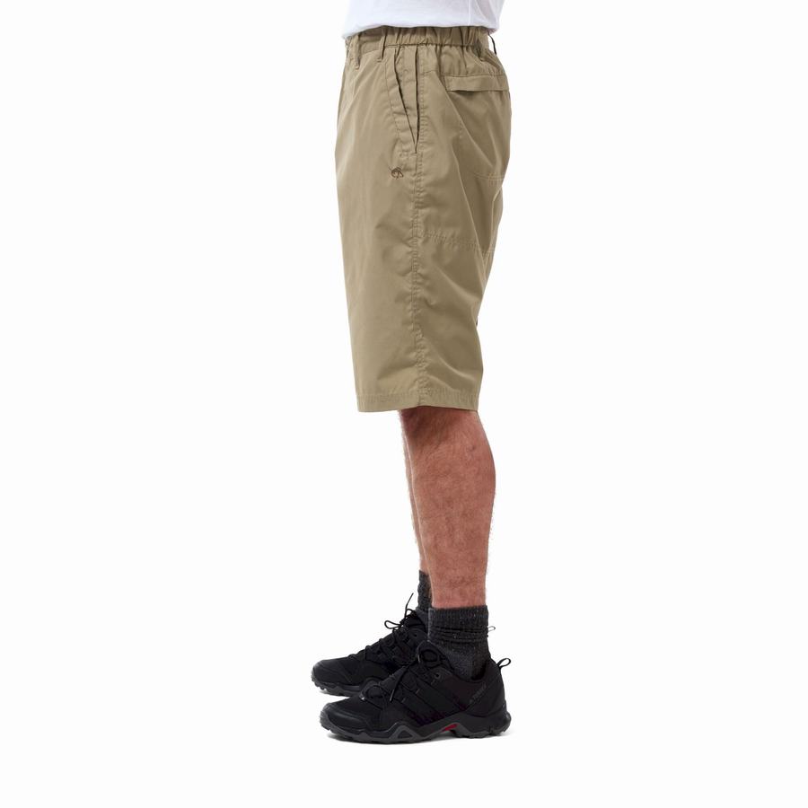 Bermudas Craghoppers Kiwi Long Hombre Kaki | FNK85JE