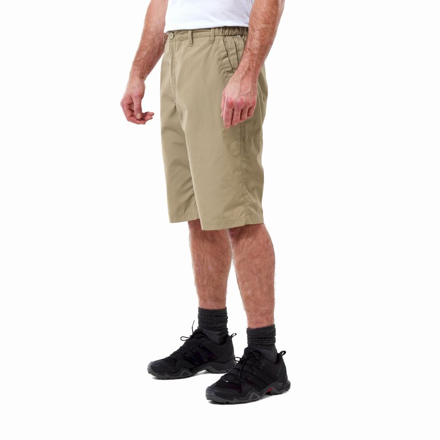 Bermudas Craghoppers Kiwi Long Hombre Kaki | FNK85JE