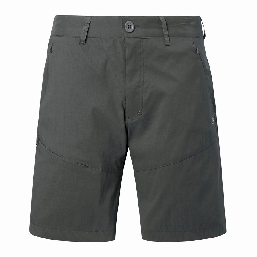 Bermudas Craghoppers Kiwi Pro Hombre Grises Oscuro | GOJ165NO