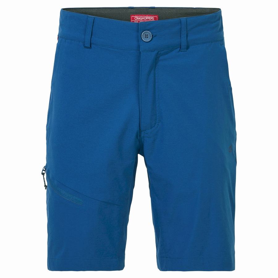 Bermudas Craghoppers NosiLife Pro Active Hombre Azul Marino Azules | CPJ166CU