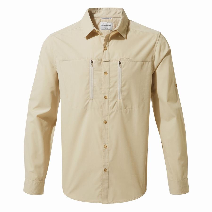 Camisas Craghoppers Kiwi Boulder Long Sleeved Hombre Beige | DAN8568TT