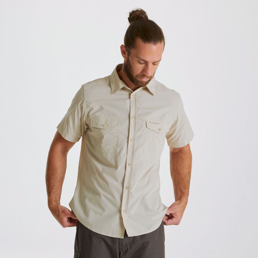 Camisas Craghoppers Kiwi Corta Sleeved Hombre Beige | TVG185FO