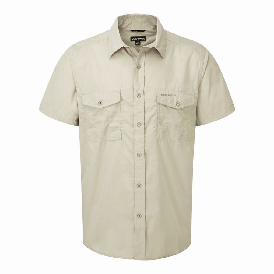 Camisas Craghoppers Kiwi Corta Sleeved Hombre Beige | TVG185FO