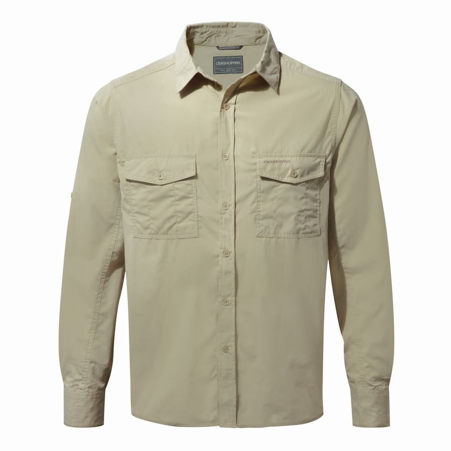 Camisas Craghoppers Kiwi Long Sleeved Hombre Beige | VSX8135PQ