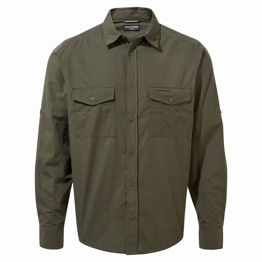 Camisas Craghoppers Kiwi Long Sleeved Hombre Verdes | WDD2177TH