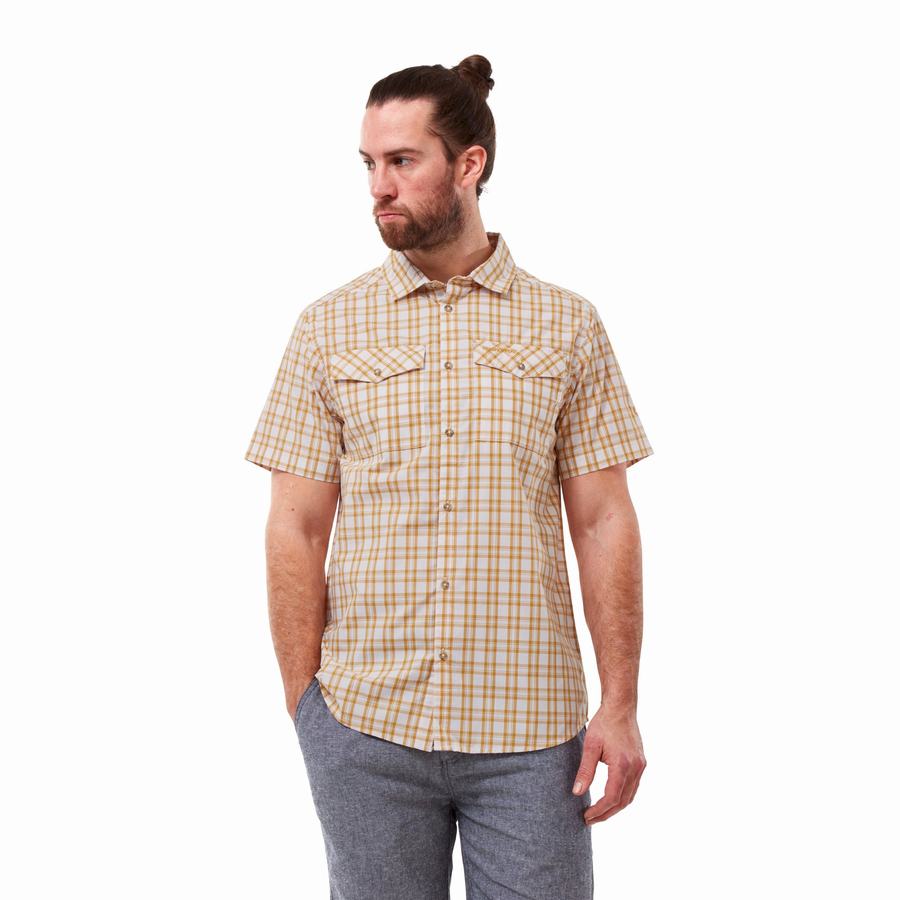 Camisas Craghoppers Murray Corta Sleeved Hombre Multicolor | MPP9543EW