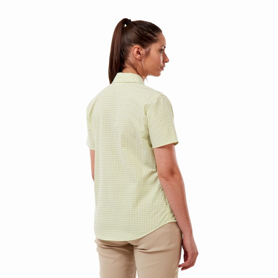 Camisas Craghoppers Nasima Corta Sleeved Mujer Amarillos | BIR6877TE