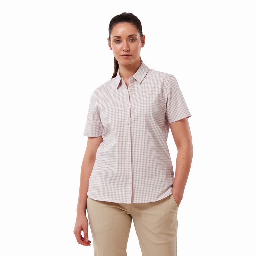 Camisas Craghoppers Nasima Corta Sleeved Mujer Morados | QYJ1984QR