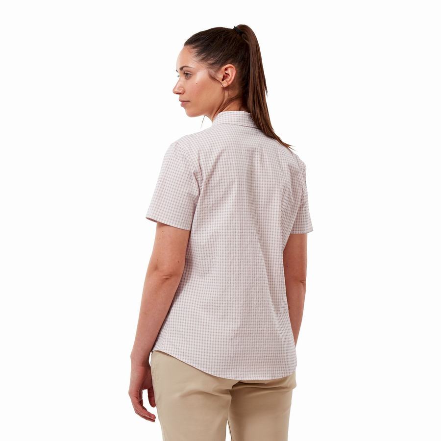 Camisas Craghoppers Nasima Corta Sleeved Mujer Morados | QYJ1984QR