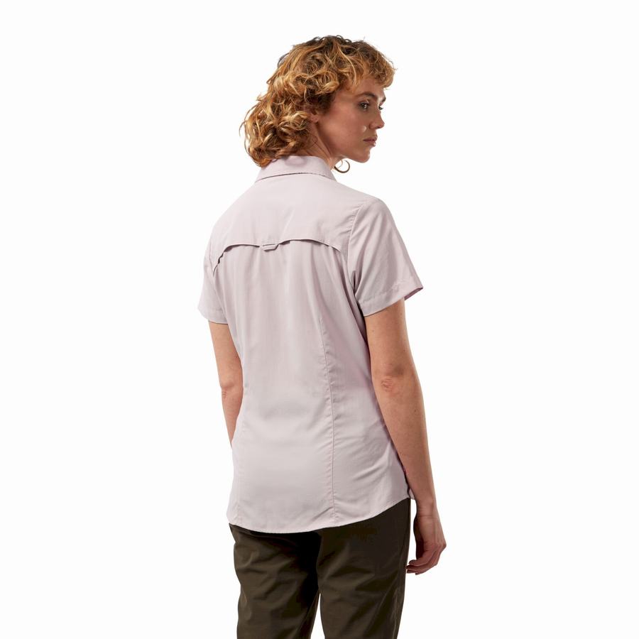 Camisas Craghoppers NosiLife Adventure II Corta Sleeved Mujer Morados | DBJ7128NG