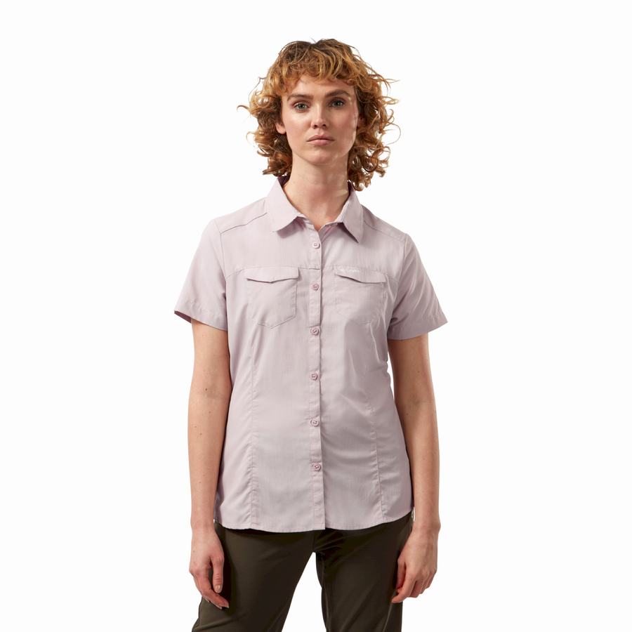 Camisas Craghoppers NosiLife Adventure II Corta Sleeved Mujer Morados | DBJ7128NG