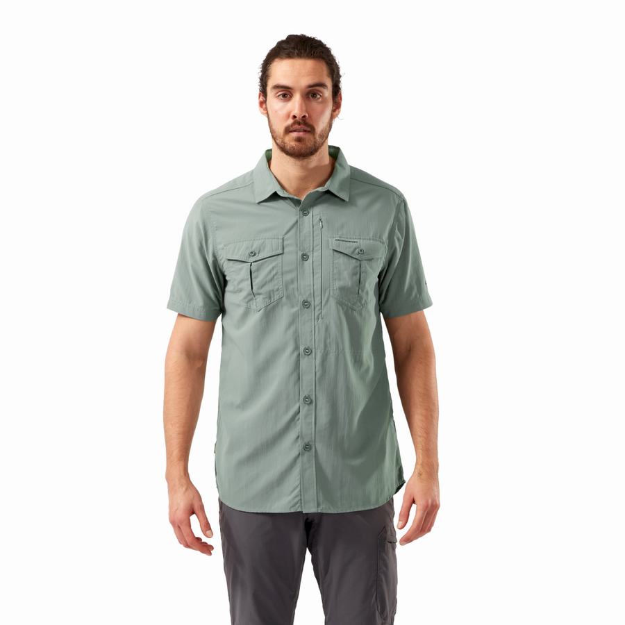 Camisas Craghoppers NosiLife Adventure II Corta Sleeved Hombre Verde Oliva | RNQ4649IC