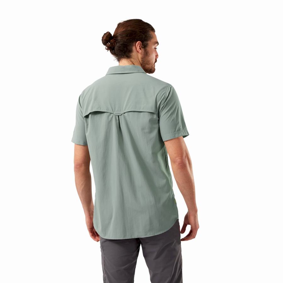 Camisas Craghoppers NosiLife Adventure II Corta Sleeved Hombre Verde Oliva | RNQ4649IC