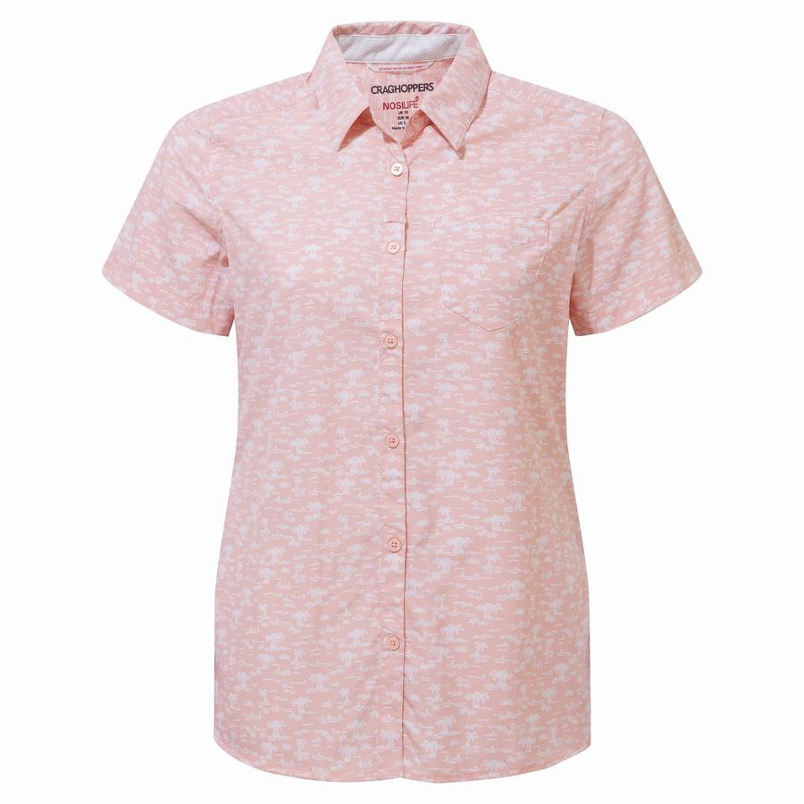 Camisas Craghoppers NosiLife Tillia Corta Sleeved Mujer Rosas | PKN1597YN