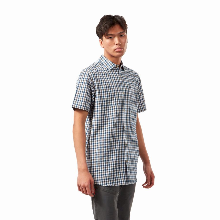 Camisas Craghoppers Nour Corta Sleeved Check Hombre Azules Azul Marino | CEI1427YC