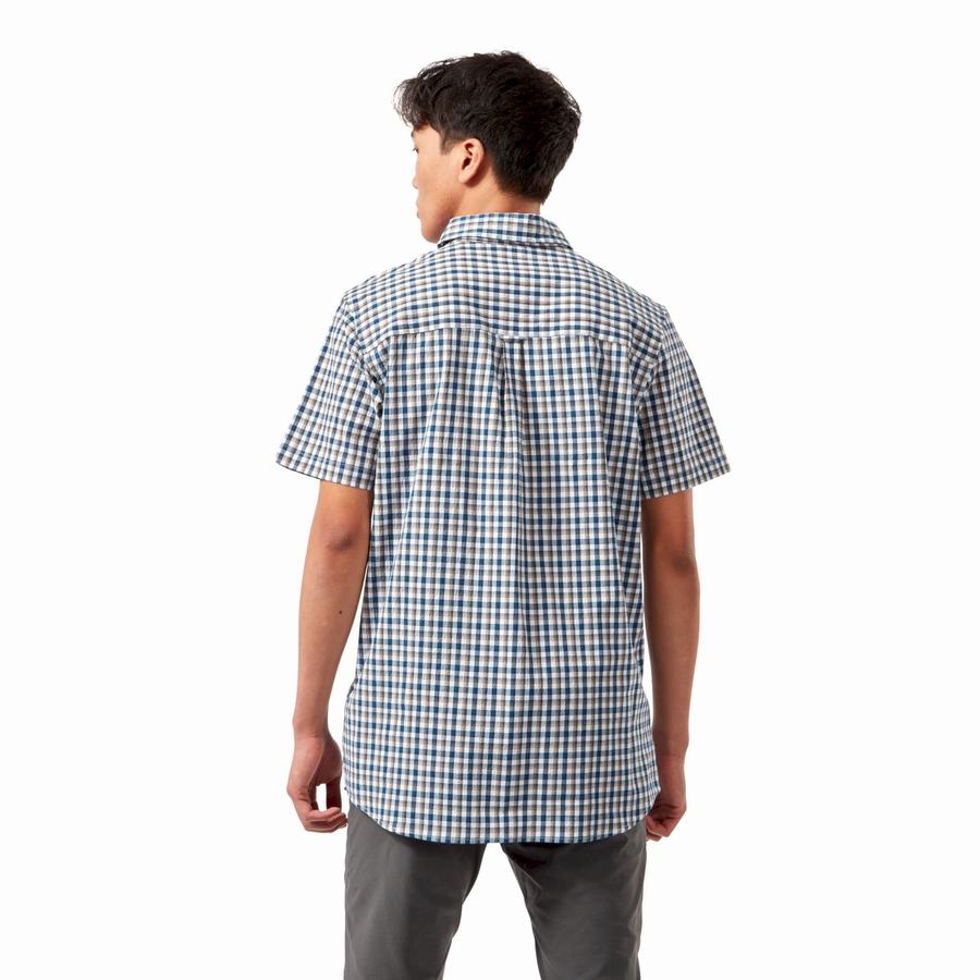 Camisas Craghoppers Nour Corta Sleeved Check Hombre Azules Azul Marino | CEI1427YC