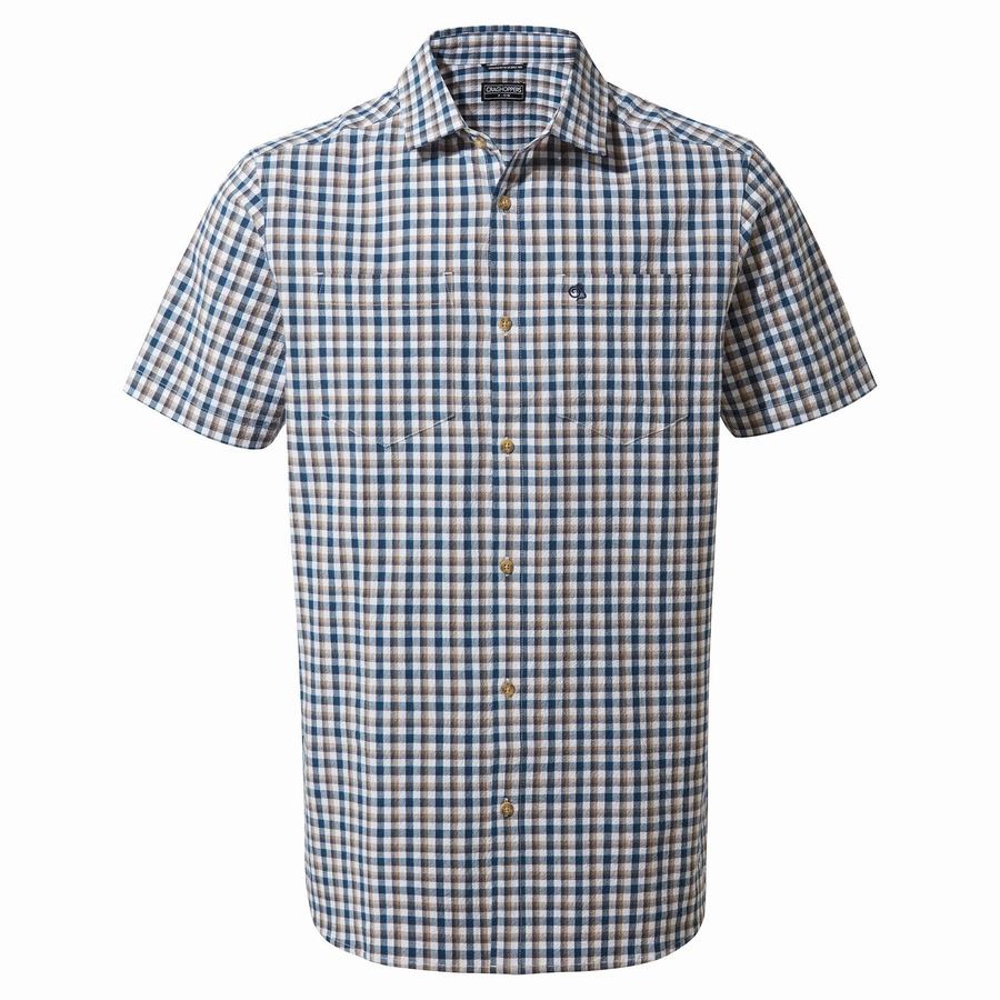 Camisas Craghoppers Nour Corta Sleeved Check Hombre Azules Azul Marino | CEI1427YC