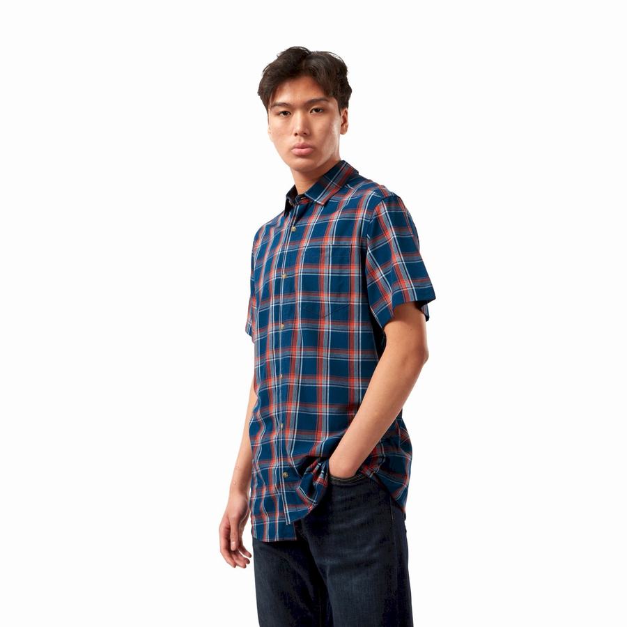 Camisas Craghoppers Rafie Corta Sleeved Check Hombre Azul Marino Azules | UBB8629PR