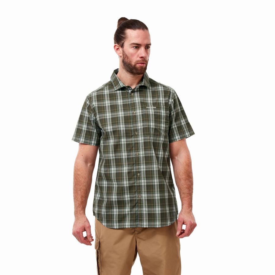 Camisas Craghoppers Vernon Corta Sleeved Hombre Verdes | JMG6078LV