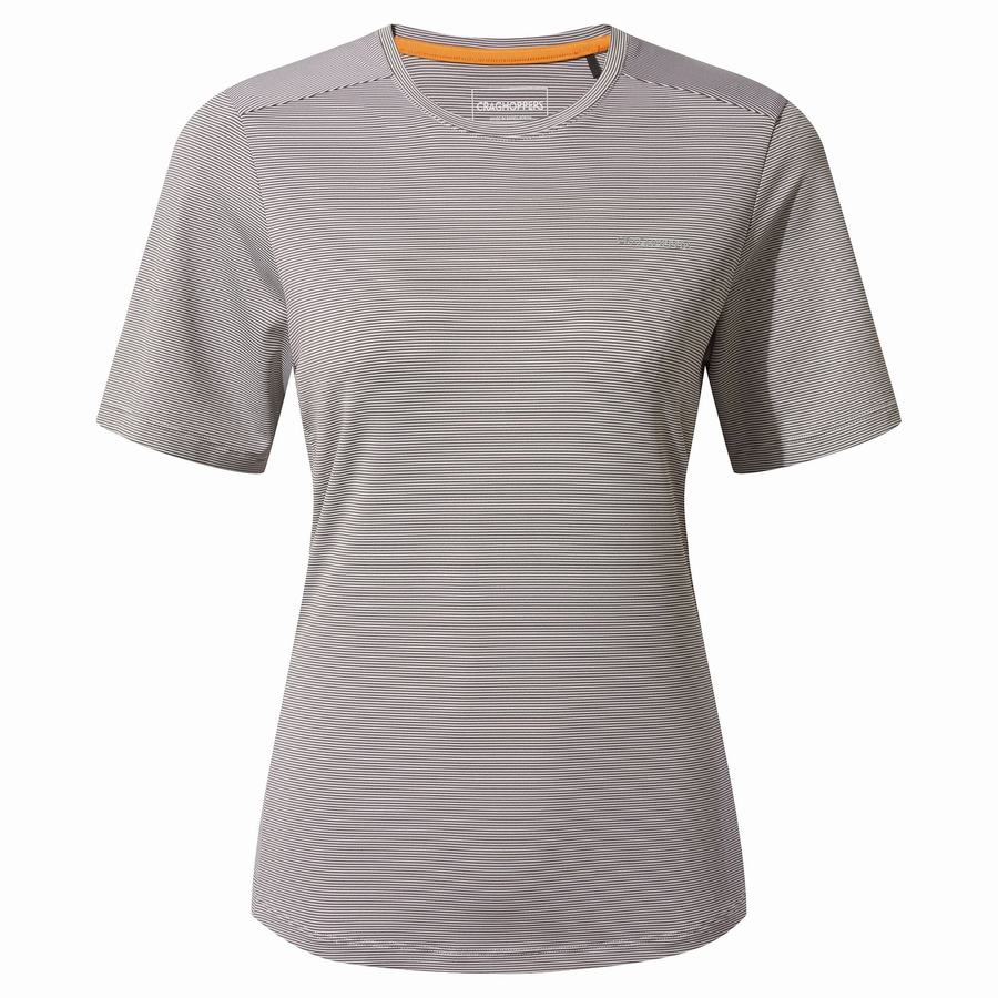 Camisetas Craghoppers Aliso Corta Sleeved Mujer Grises | BSA3459PH