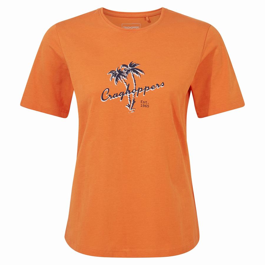 Camisetas Craghoppers Ally Corta Sleeved Mujer Naranjas | GUD7998TM