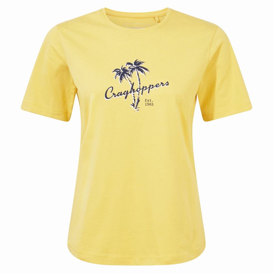 Camisetas Craghoppers Ally Corta Sleeved Mujer Amarillos | VZS2557DP