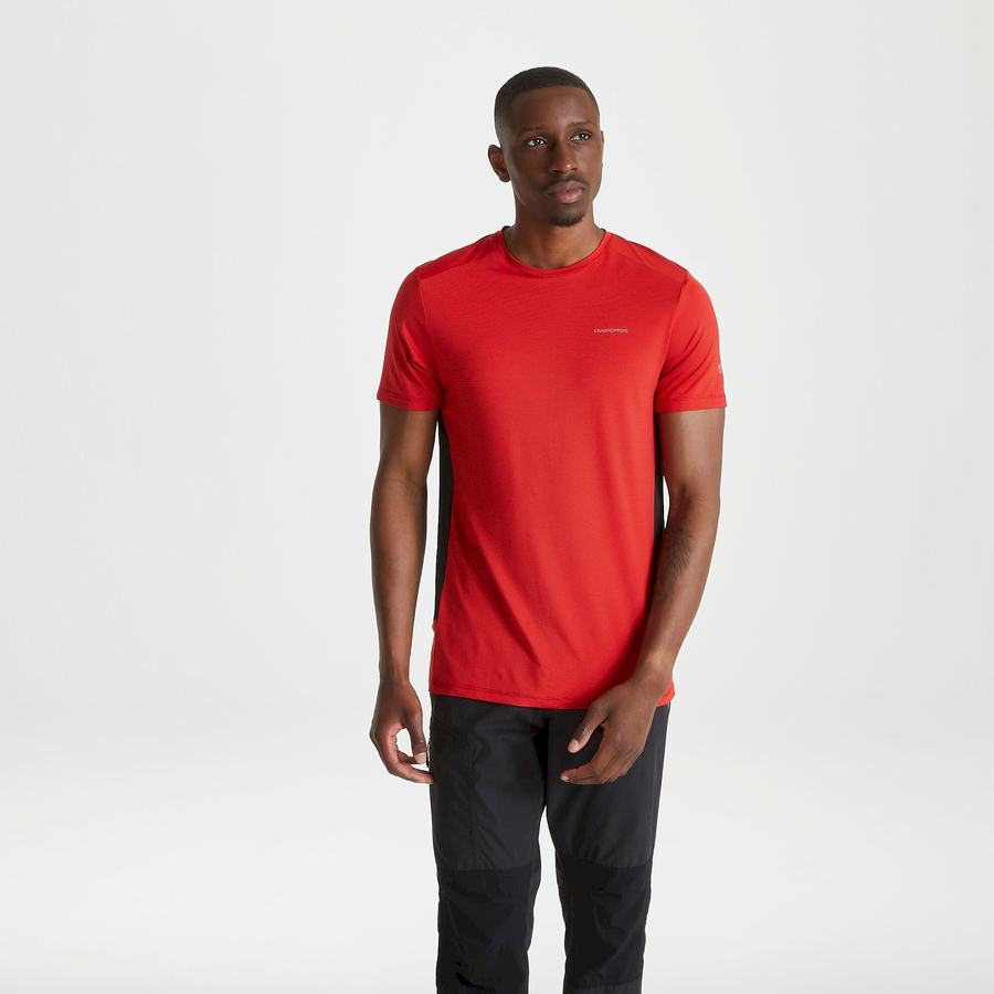 Camisetas Craghoppers Atmos Corta Sleeved Hombre Rojos | NUW9535UT