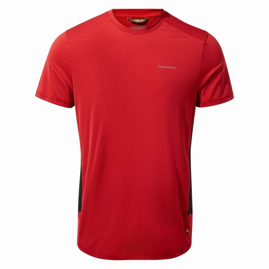 Camisetas Craghoppers Atmos Corta Sleeved Hombre Rojos | NUW9535UT