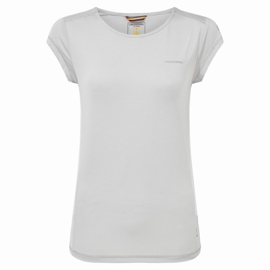 Camisetas Craghoppers Atmos Corta Sleeved Mujer Grises | SNF3898SK