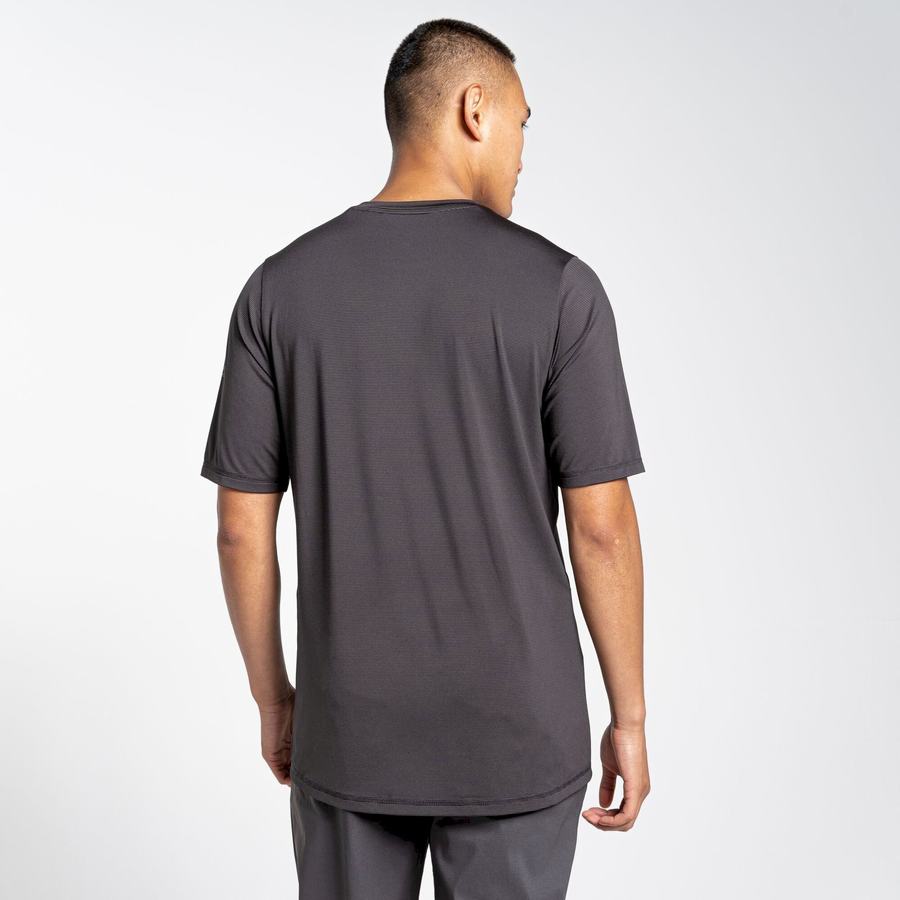 Camisetas Craghoppers Belardo Corta Sleeved Hombre Negros | APC5276GA