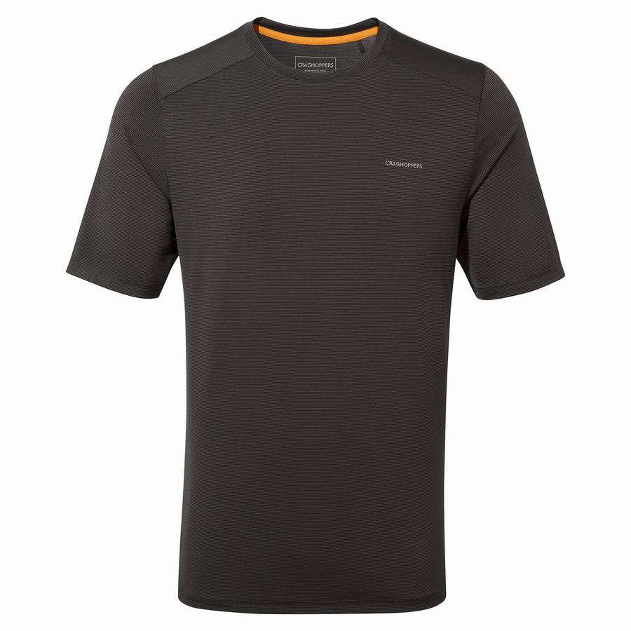 Camisetas Craghoppers Belardo Corta Sleeved Hombre Negros | APC5276GA