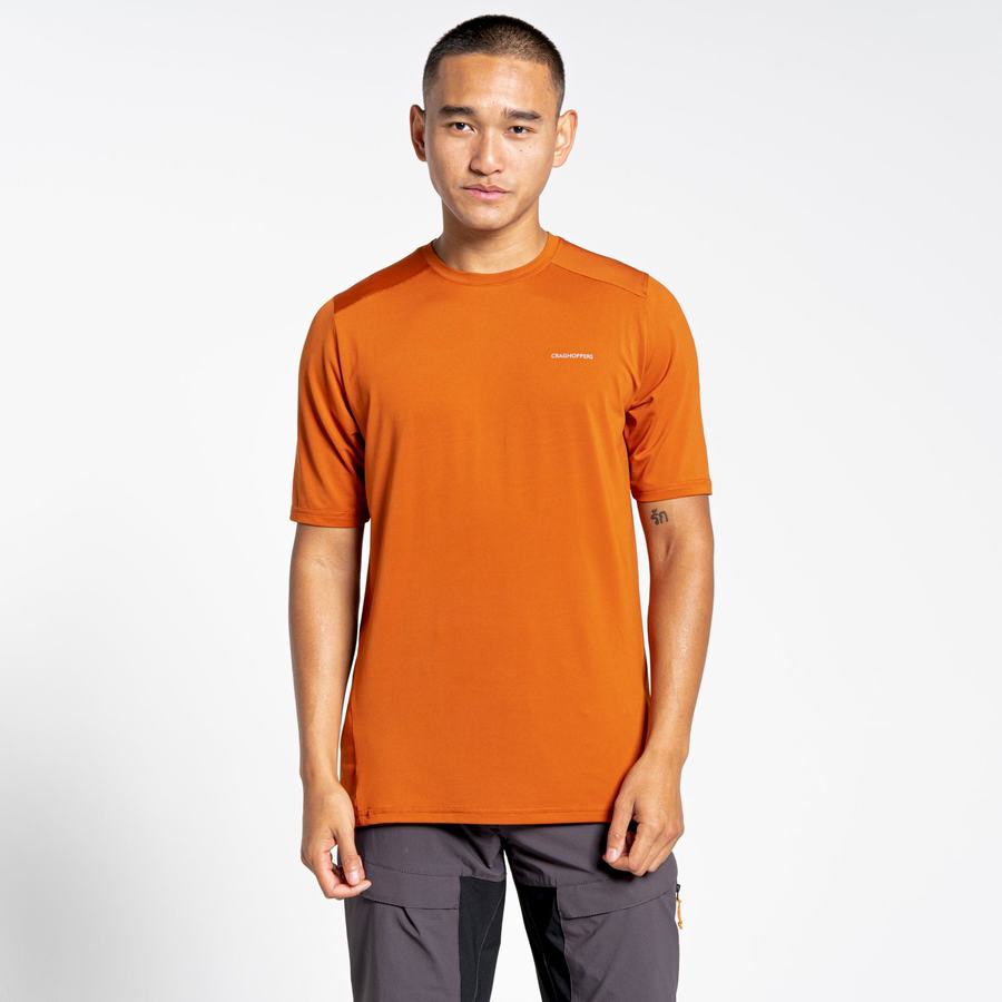 Camisetas Craghoppers Belardo Corta Sleeved Hombre Naranjas | MNZ4647OZ